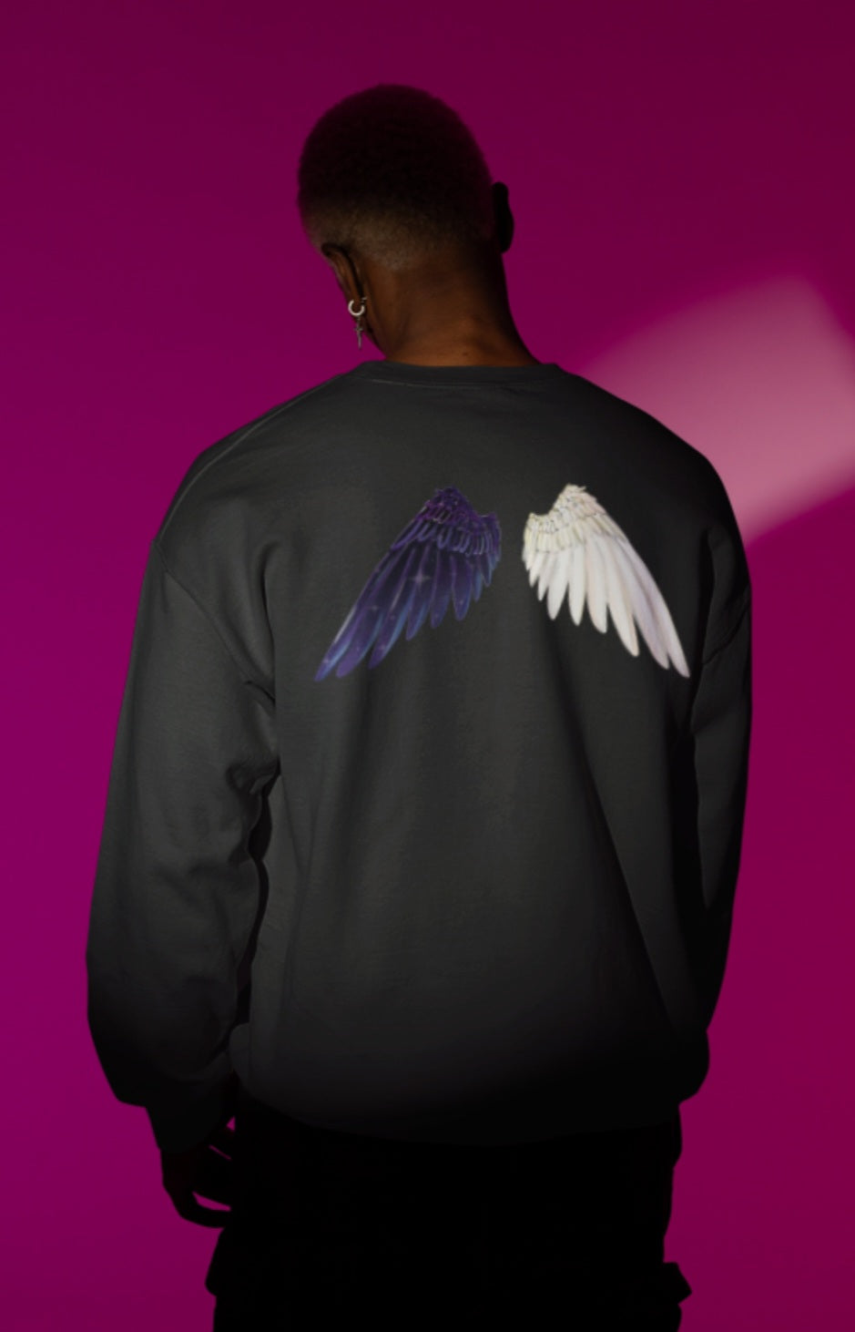 Lunar Celestial Alicorn Hoodie | Royal Sisters Alt Gothic Moon Sun Unisex Sweatshirt